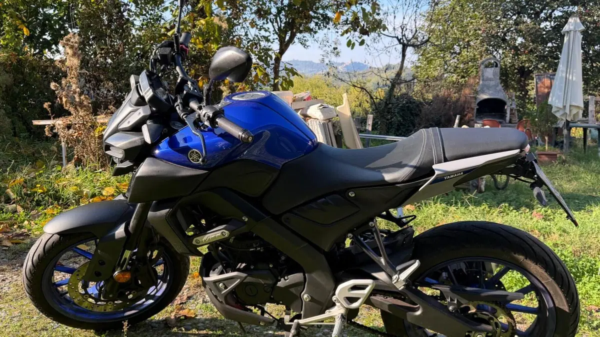 Yamaha MT-125 ABS (2020)  (13)