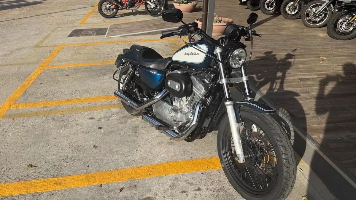Harley-Davidson 883 Low (2006 - 07) - XL 883L  (4)