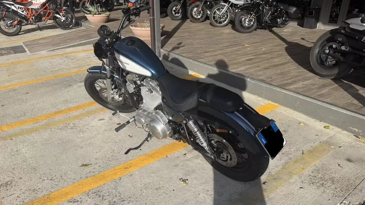 Harley-Davidson 883 Low (2006 - 07) - XL 883L  (5)
