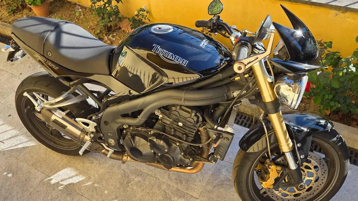 Triumph Speed Triple 1050 (2005 - 11)  (2)