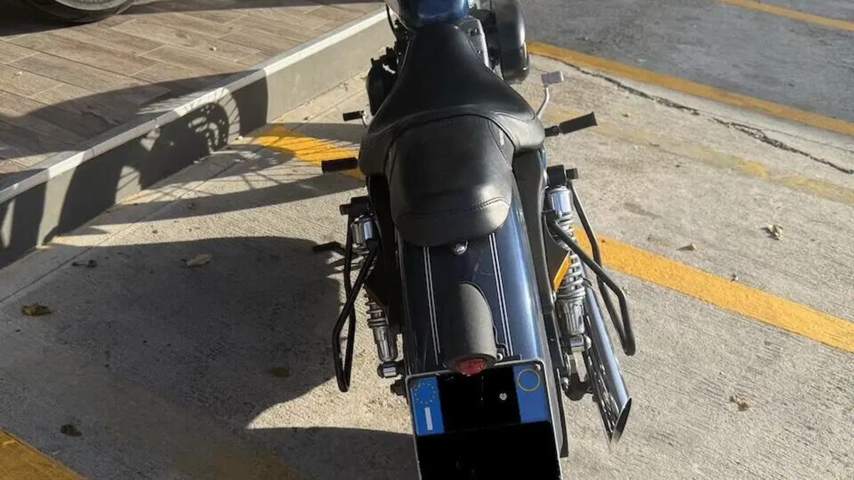 Harley-Davidson 883 Low (2006 - 07) - XL 883L  (6)