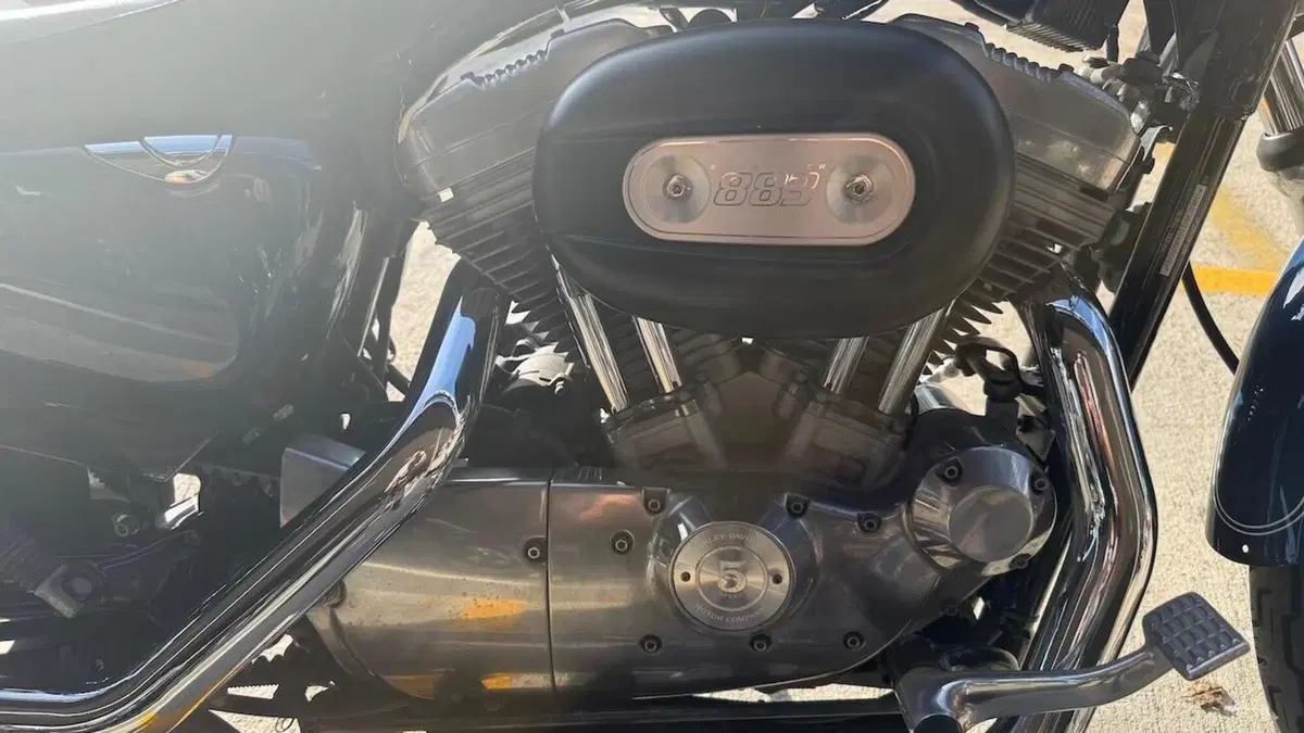 Harley-Davidson 883 Low (2006 - 07) - XL 883L  (8)