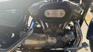 Harley-Davidson 883 Low (2006 - 07) - XL 883L  (8)
