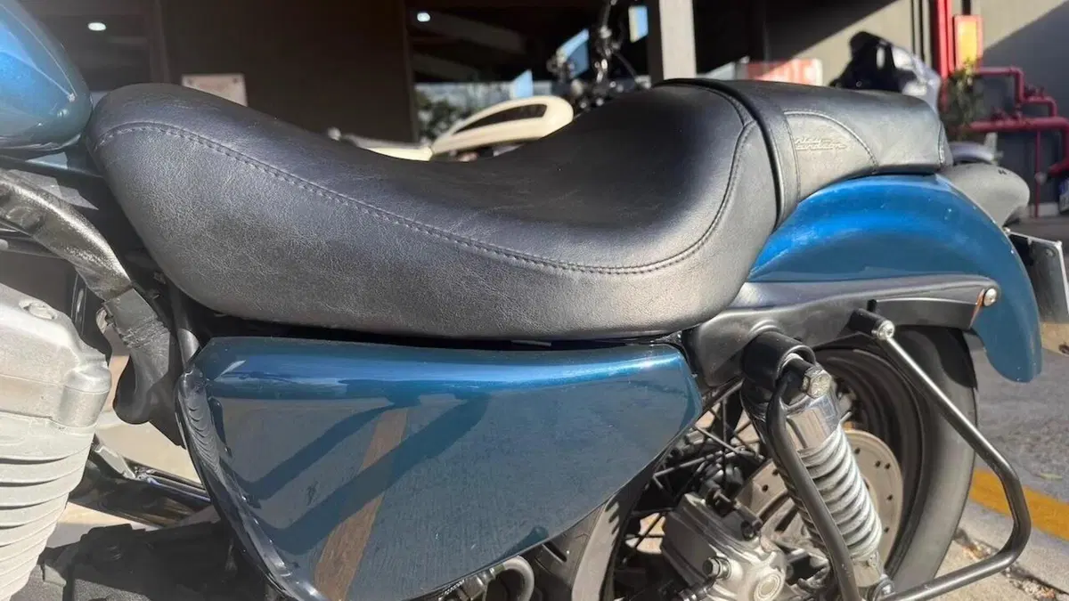 Harley-Davidson 883 Low (2006 - 07) - XL 883L  (10)