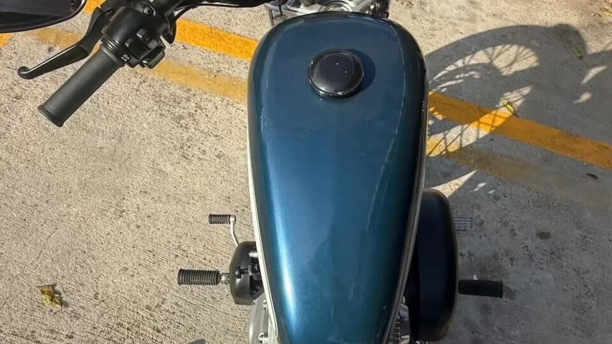 Harley-Davidson 883 Low (2006 - 07) - XL 883L  (11)