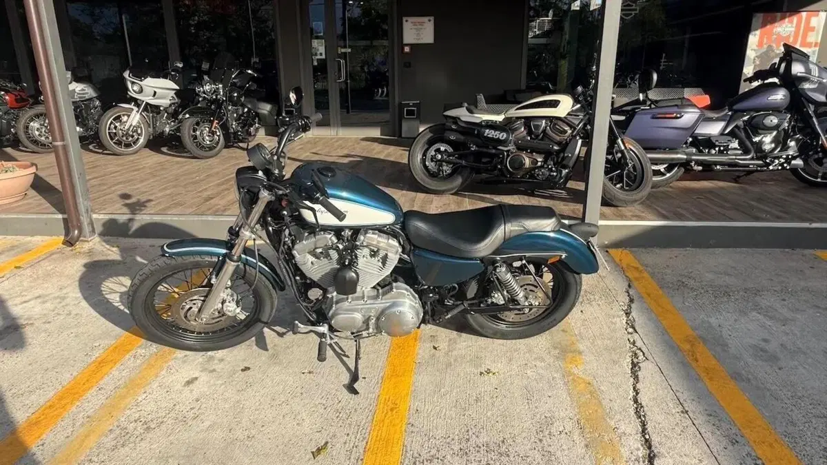Harley-Davidson 883 Low (2006 - 07) - XL 883L 