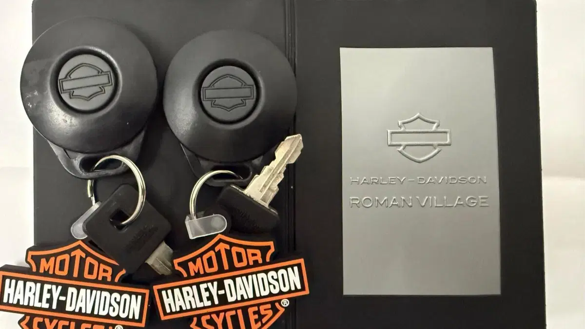 Harley-Davidson 883 Low (2006 - 07) - XL 883L  (14)