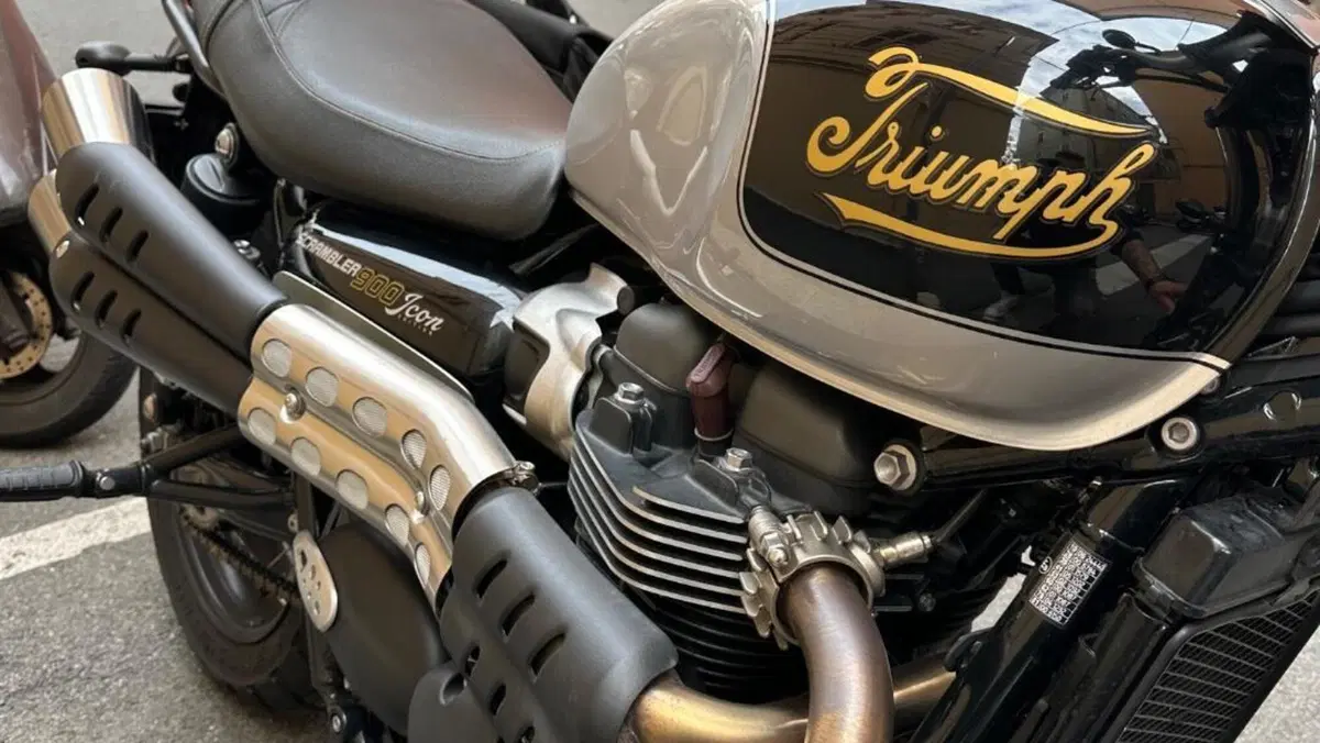 Triumph Scrambler 900 Icon Edition (2025 - 26)  (2)