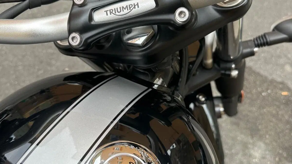 Triumph Scrambler 900 Icon Edition (2025 - 26)  (4)