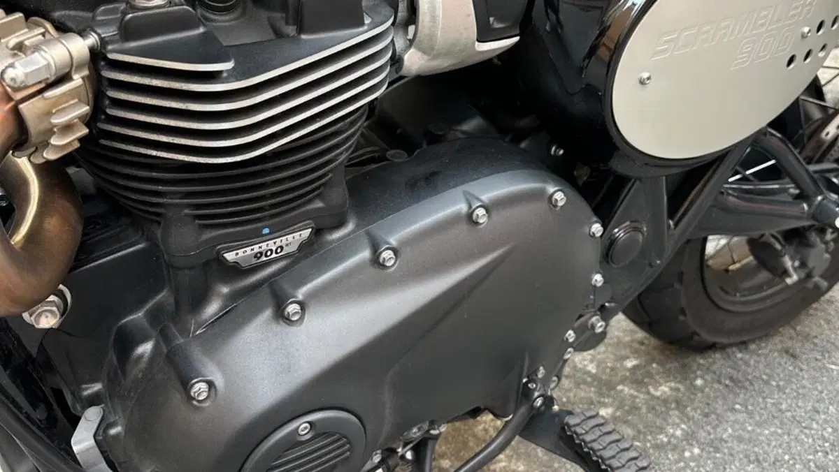 Triumph Scrambler 900 Icon Edition (2025 - 26)  (7)