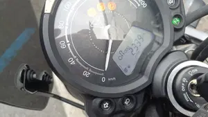 Triumph Scrambler 900 Icon Edition (2025 - 26)  (14)