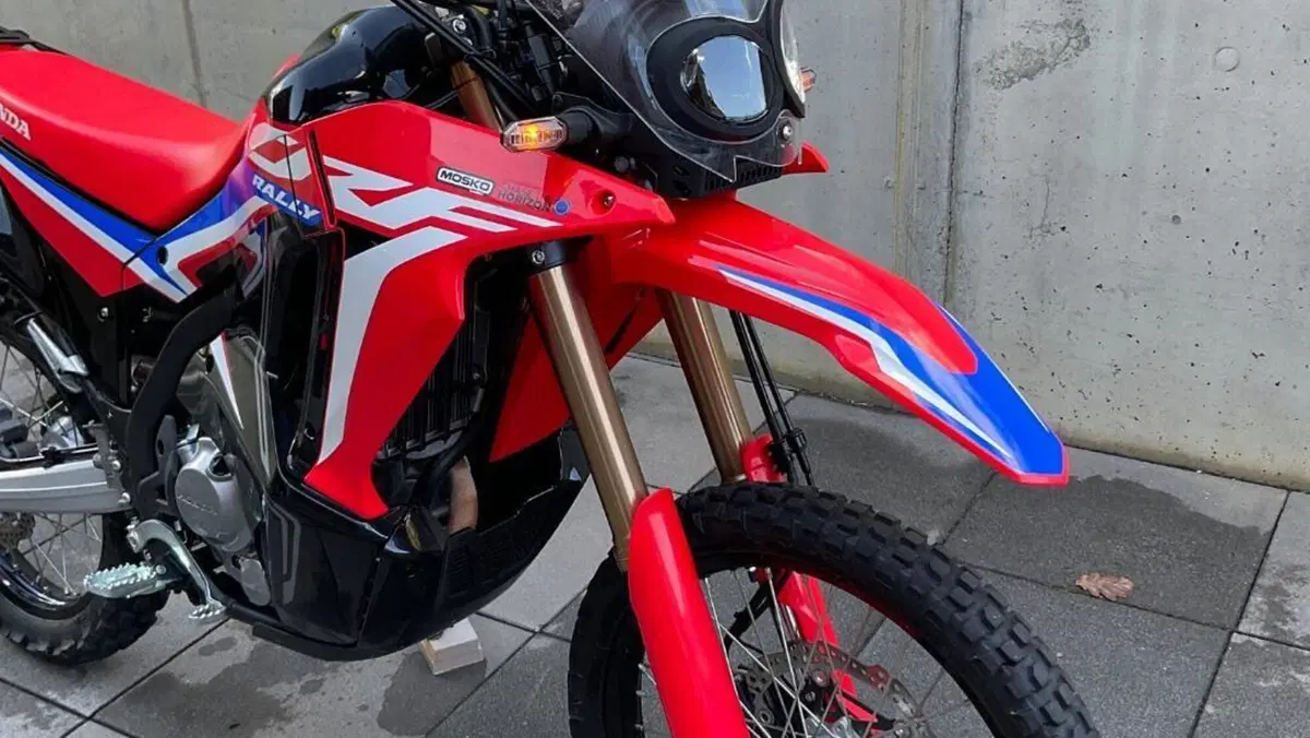 Honda CRF 300 Rally (2021 - 24) 