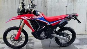 Honda CRF 300 Rally (2021 - 24)  (2)