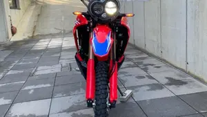 Honda CRF 300 Rally (2021 - 24)  (6)