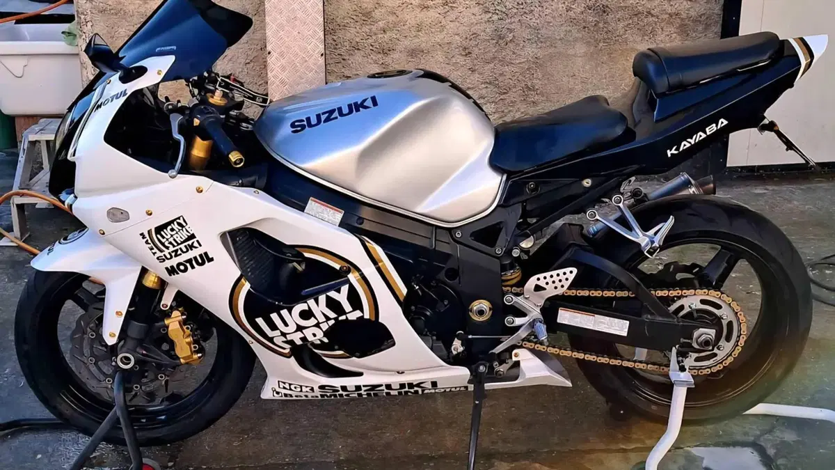 Suzuki GSX-R1000 (2003 - 04)  (3)