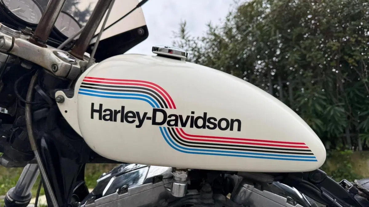 Harley-Davidson 1450 Super Glide T-Sport (2001 - 03) - FXDXT  (12)