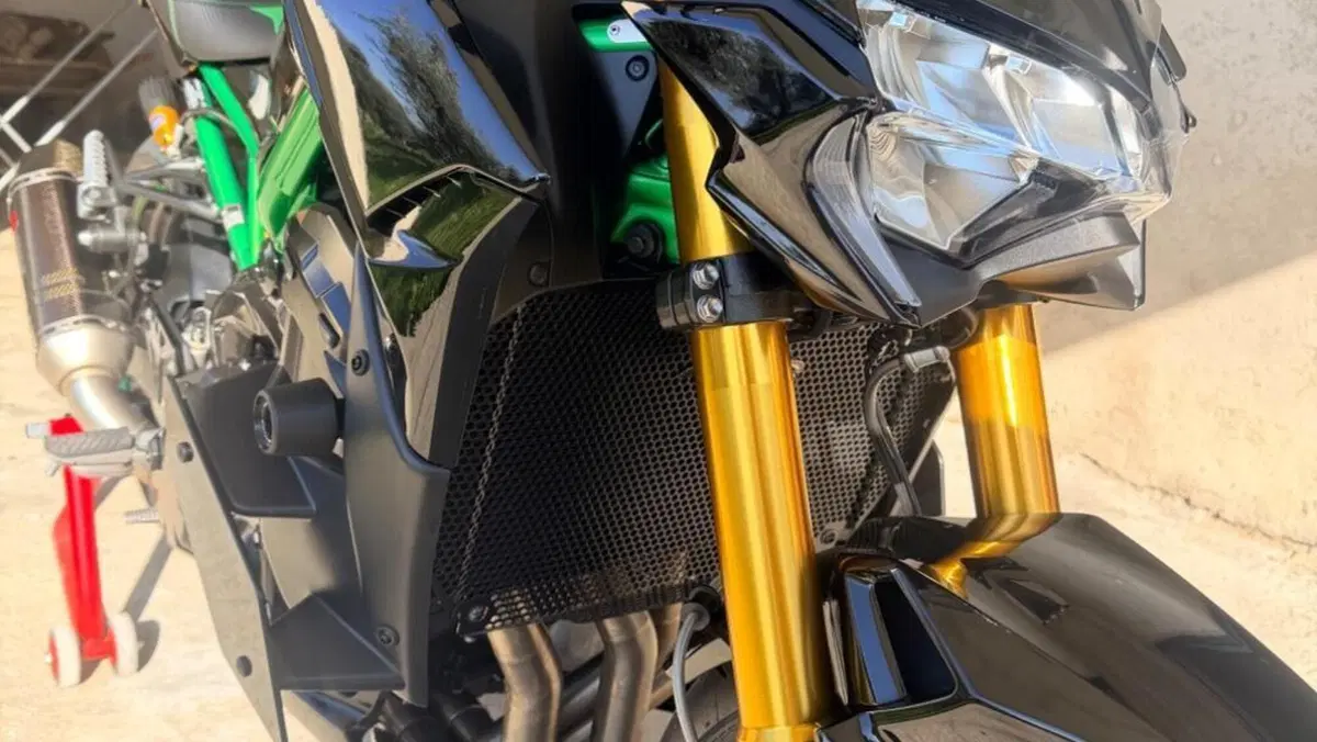 Kawasaki Z 900 SE Performance (2023 - 24)  (4)