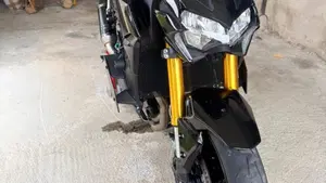 Kawasaki Z 900 SE Performance (2023 - 24)  (8)