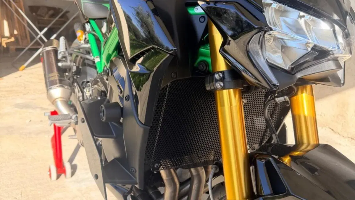 Kawasaki Z 900 SE Performance (2023 - 24)  (9)
