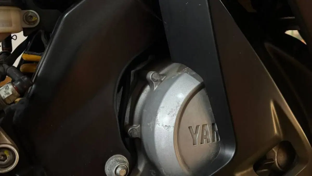 Yamaha YZF R125 (2008 - 13)  (11)