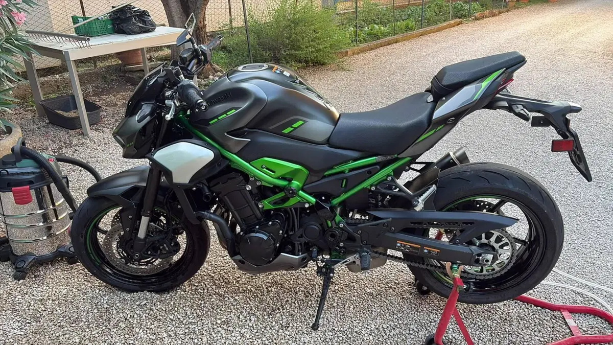 Kawasaki Z 900 Performance (2025 - 27)  (2)