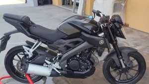 Yamaha MT-125 ABS (2017 - 19)  (2)