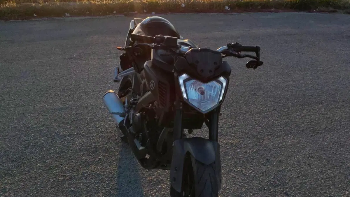 Yamaha MT-125 ABS (2017 - 19)  (8)