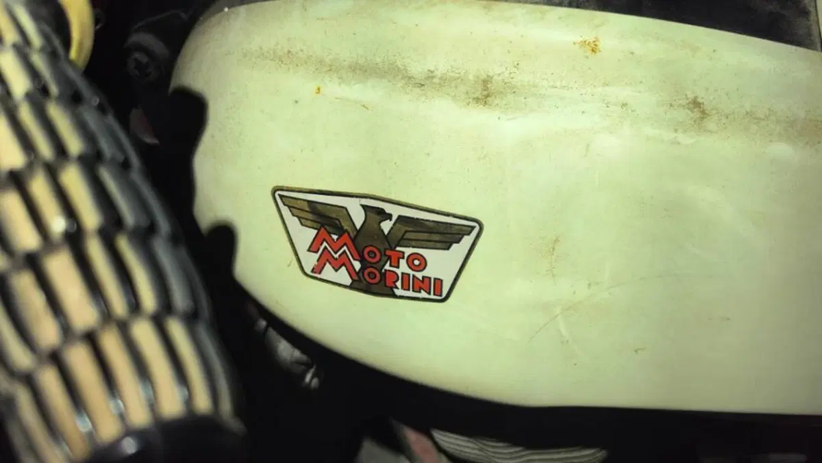 Aprilia   (6)
