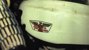 Aprilia   (6)