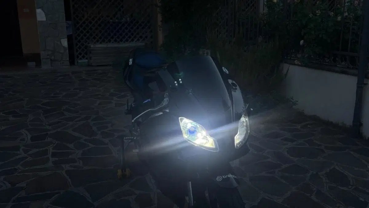 Aprilia RS 125 (2006 - 14)  (7)