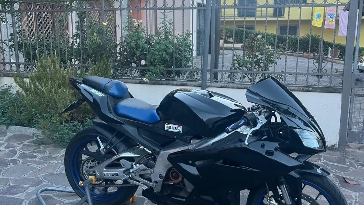 Aprilia RS 125 (2006 - 14)  (8)
