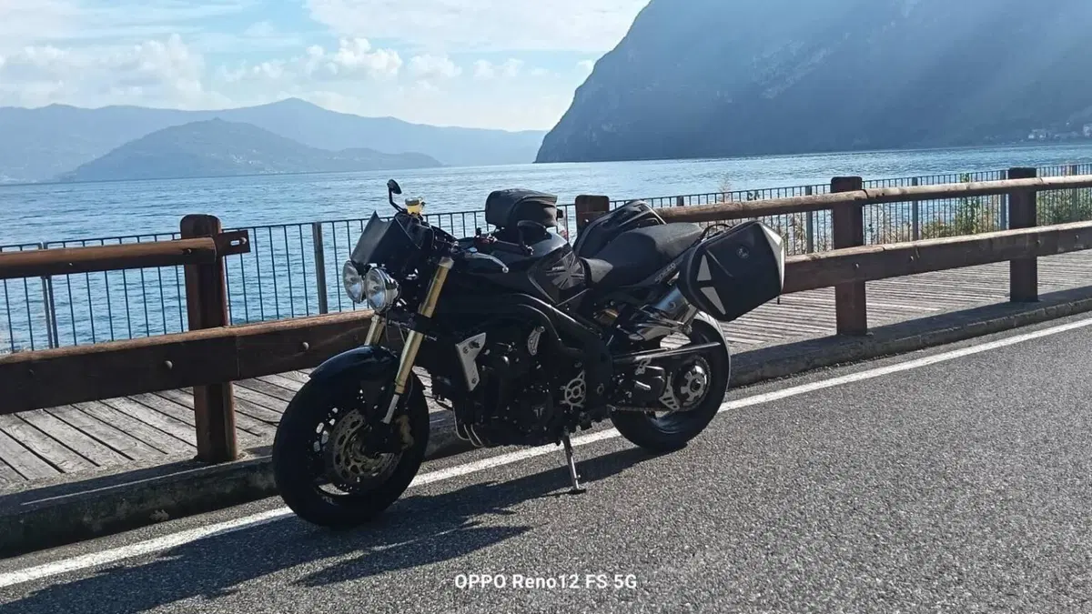 Triumph Speed Triple 1050 (2005 - 11)  (2)