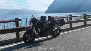 Triumph Speed Triple 1050 (2005 - 11)  (2)