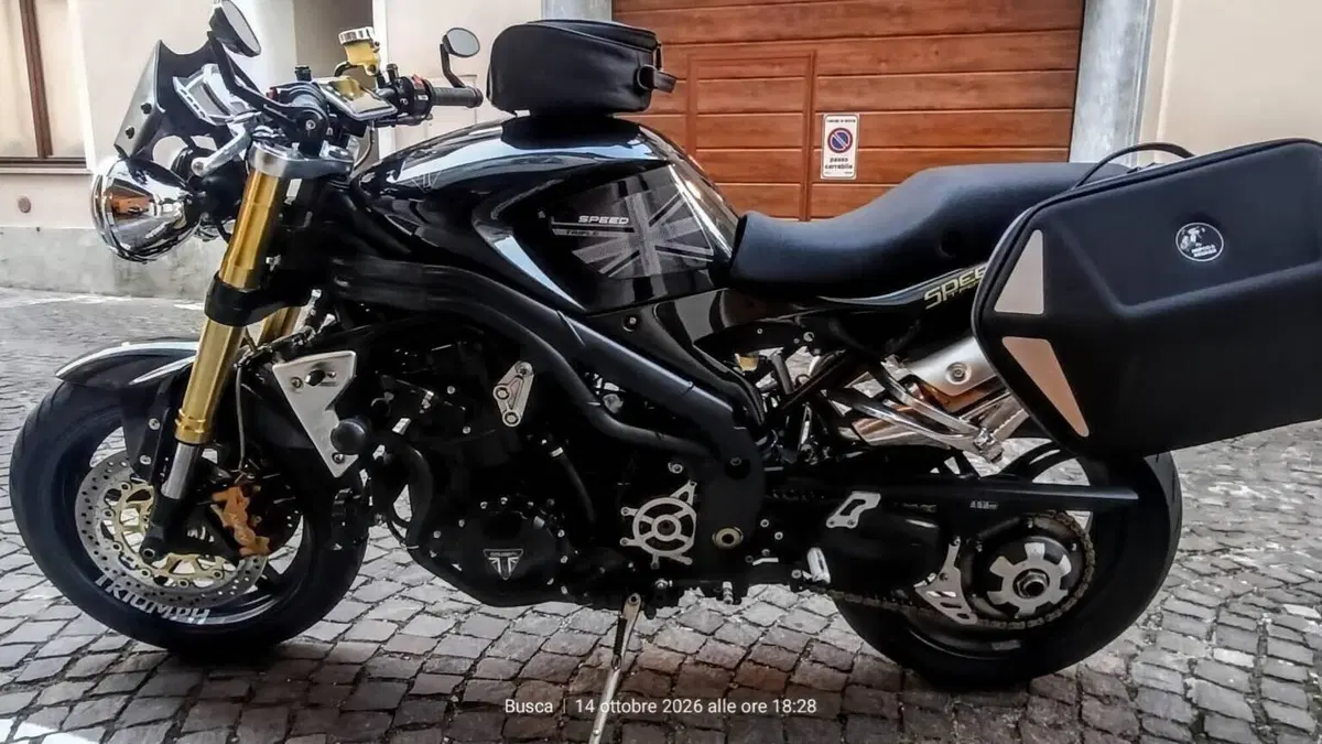 Triumph Speed Triple 1050 (2005 - 11)  (3)