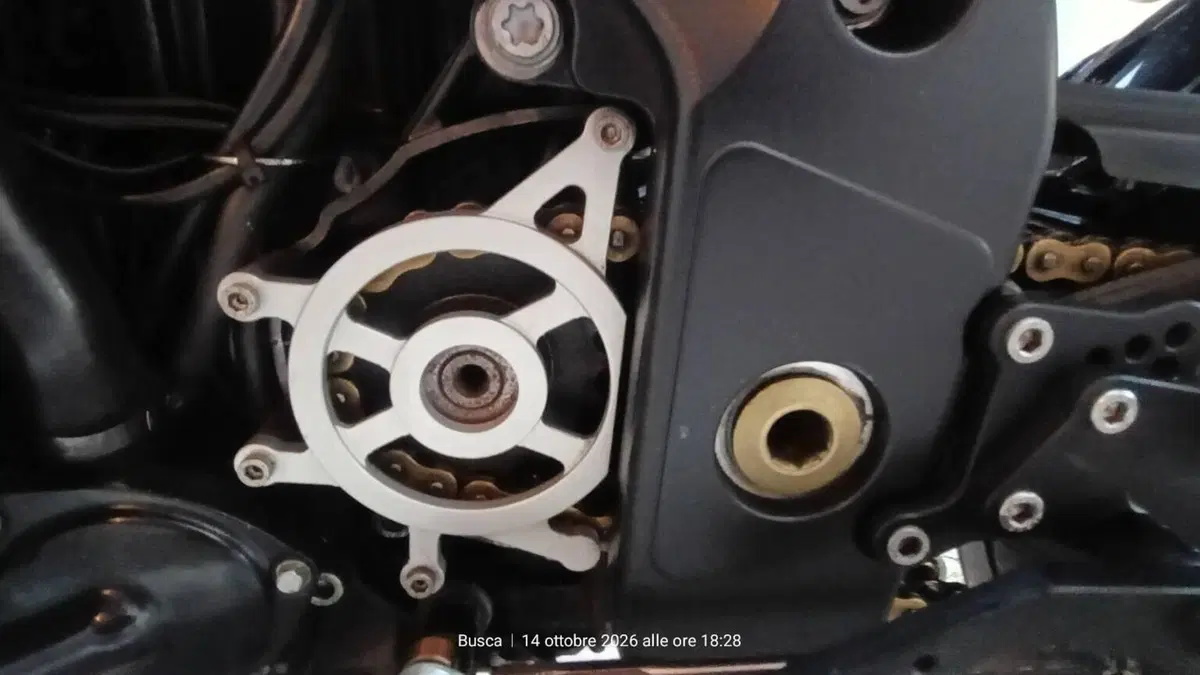Triumph Speed Triple 1050 (2005 - 11)  (4)