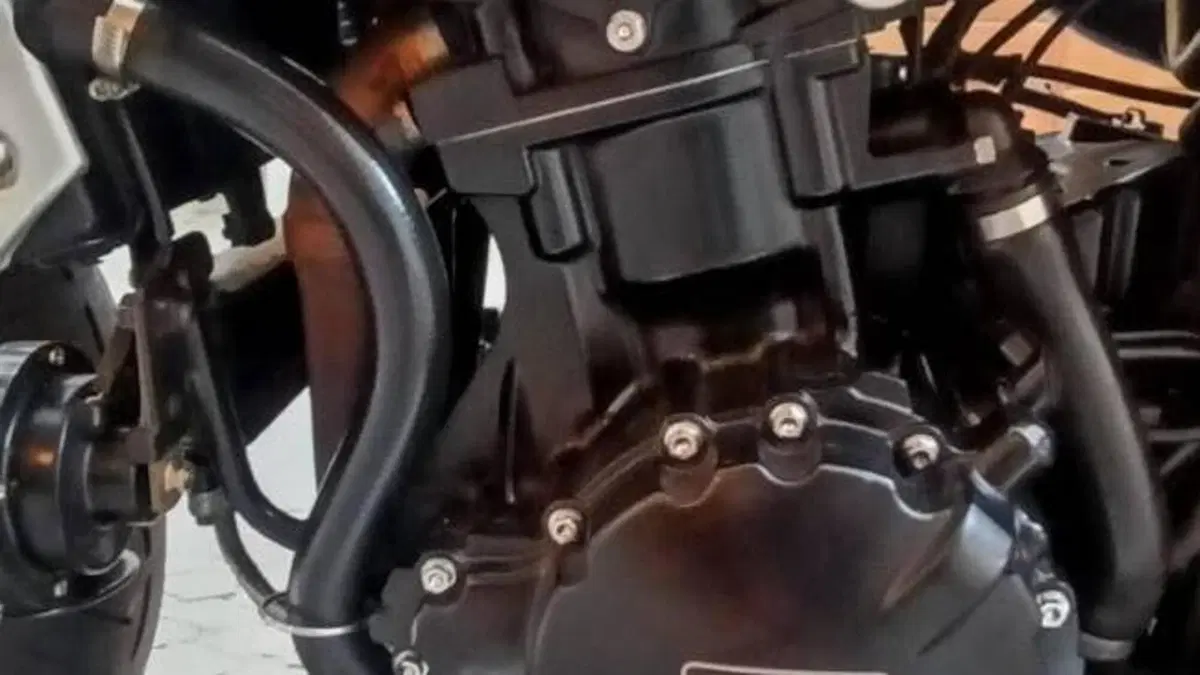 Triumph Speed Triple 1050 (2005 - 11)  (5)