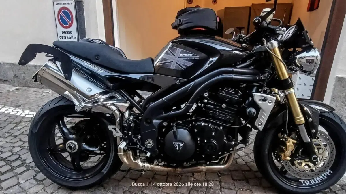 Triumph Speed Triple 1050 (2005 - 11)  (9)
