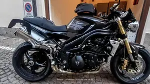 Triumph Speed Triple 1050 (2005 - 11)  (9)