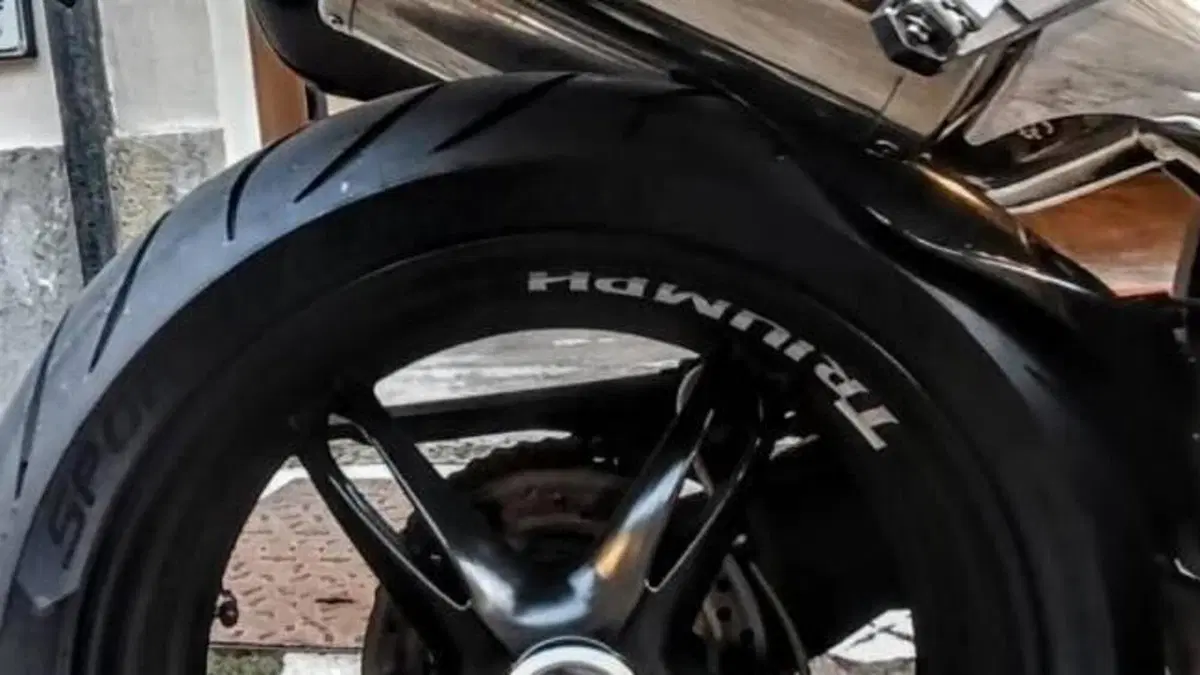 Triumph Speed Triple 1050 (2005 - 11)  (10)