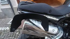 Triumph Speed Triple 1050 (2005 - 11)  (15)