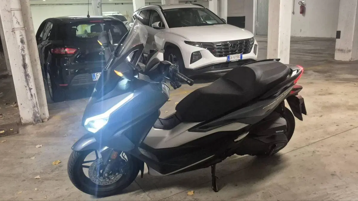 Honda Forza 350 (2022 - 24)  (8)