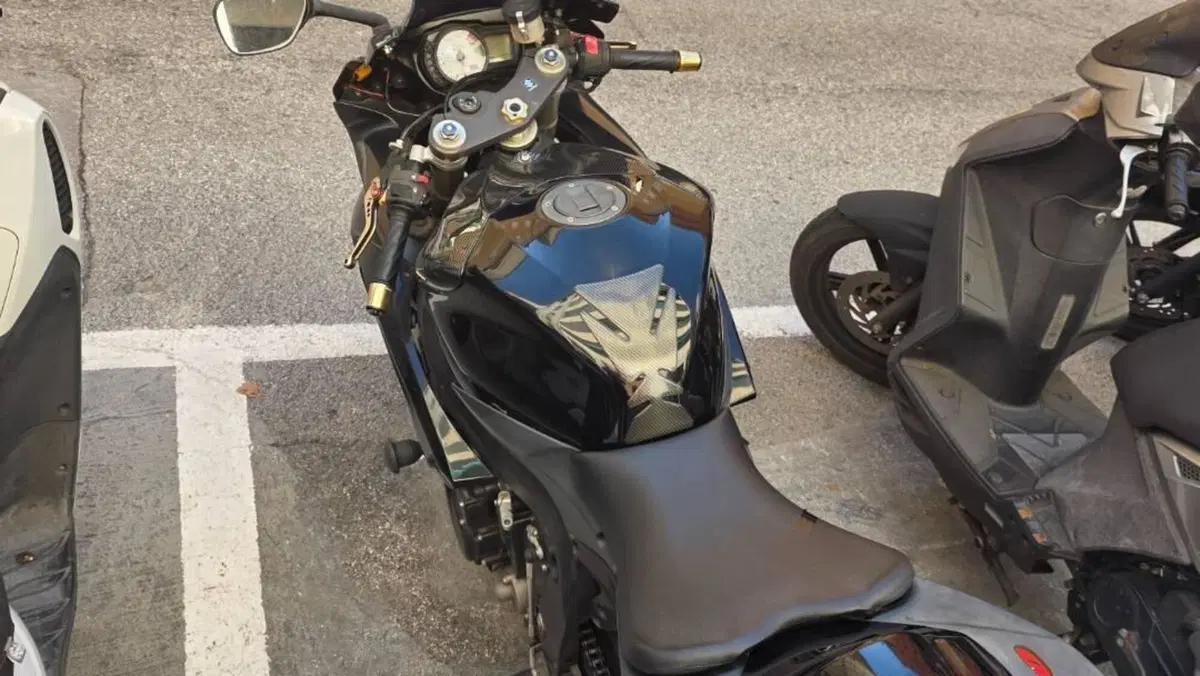 Suzuki GSX R 600 (2006 - 07)  (2)