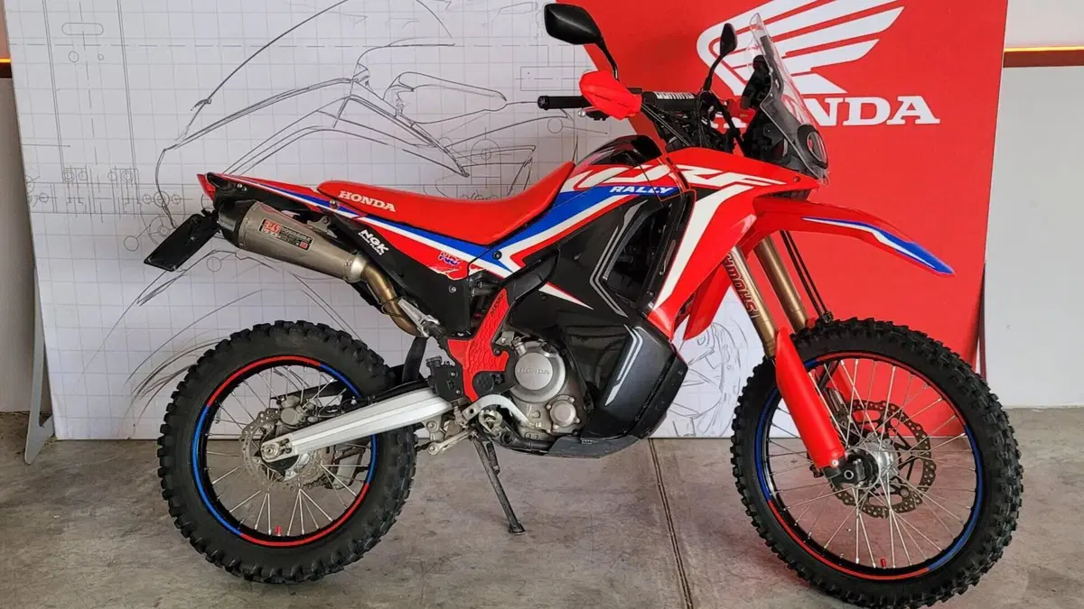 Honda CRF 300 Rally (2021 - 24) 