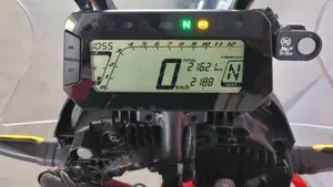 Honda CRF 300 Rally (2021 - 24)  (4)