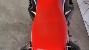Honda CRF 300 Rally (2021 - 24)  (5)