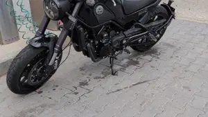 Benelli Leoncino 500 ABS (2017 - 20)  (3)