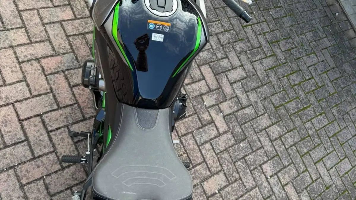 Kawasaki Z 900 SE (2025 - 27)  (5)