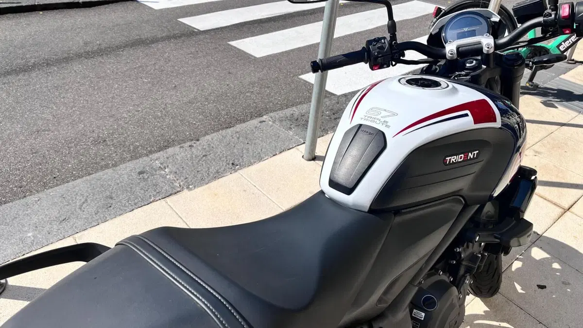 Triumph Trident 660 Triple Tribute Edition (2024)  (5)