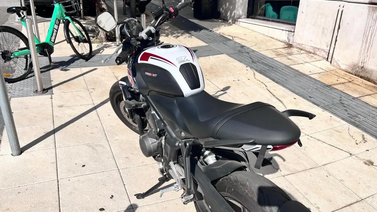 Triumph Trident 660 Triple Tribute Edition (2024)  (6)