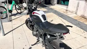 Triumph Trident 660 Triple Tribute Edition (2024)  (6)